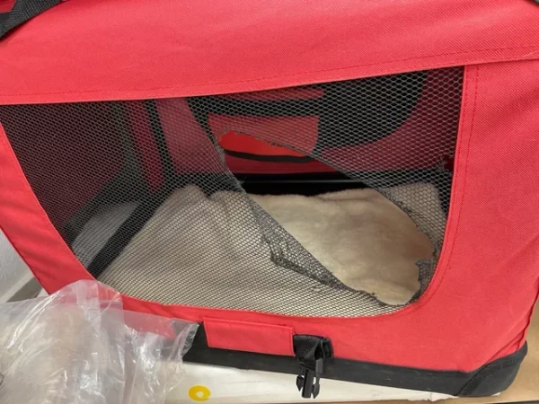 lionto Transportín para Perros - Imagen 4